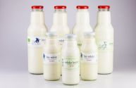 Mleko krowie surowe - butelka szklana 300 ml