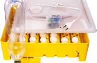 Inkubator 80 JAJ wylęgarka klujnik ZEWNĘTRZNE dolewanie wody IO-1PTEE
