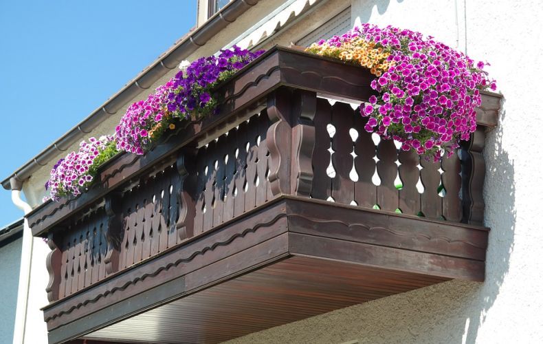 Kwiaty balkonowe i rabatowe