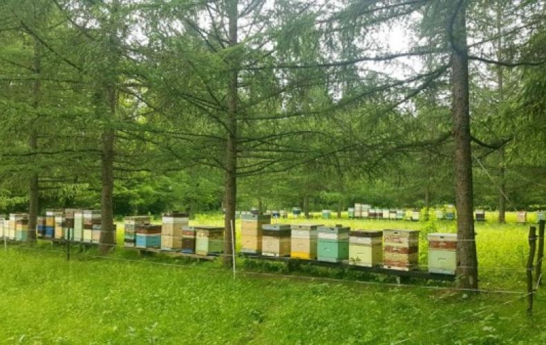 Warsztaty pszczelarskie 